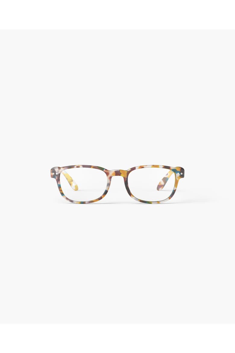 #B Blue Tortoise, Main, color, Blue Tortoise