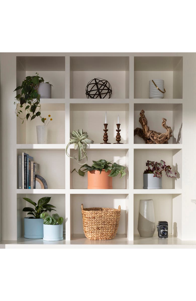 Bloem Mathers Planter w/ Saucer Tray  10" Misty Blue, Alternate, color, Blue