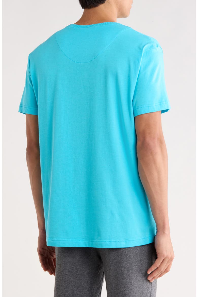 Marlin Embroidered T-Shirt, Alternate, color, BLUE