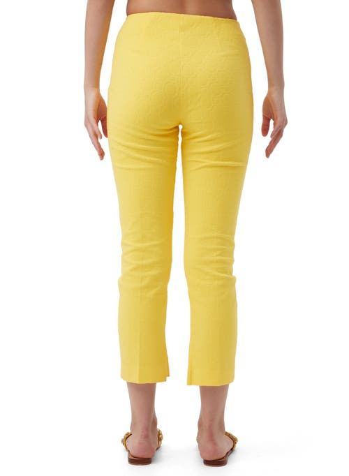 Trina Turk Textured Cotton Straight Leg Pop Pant In Lavandou Lemon