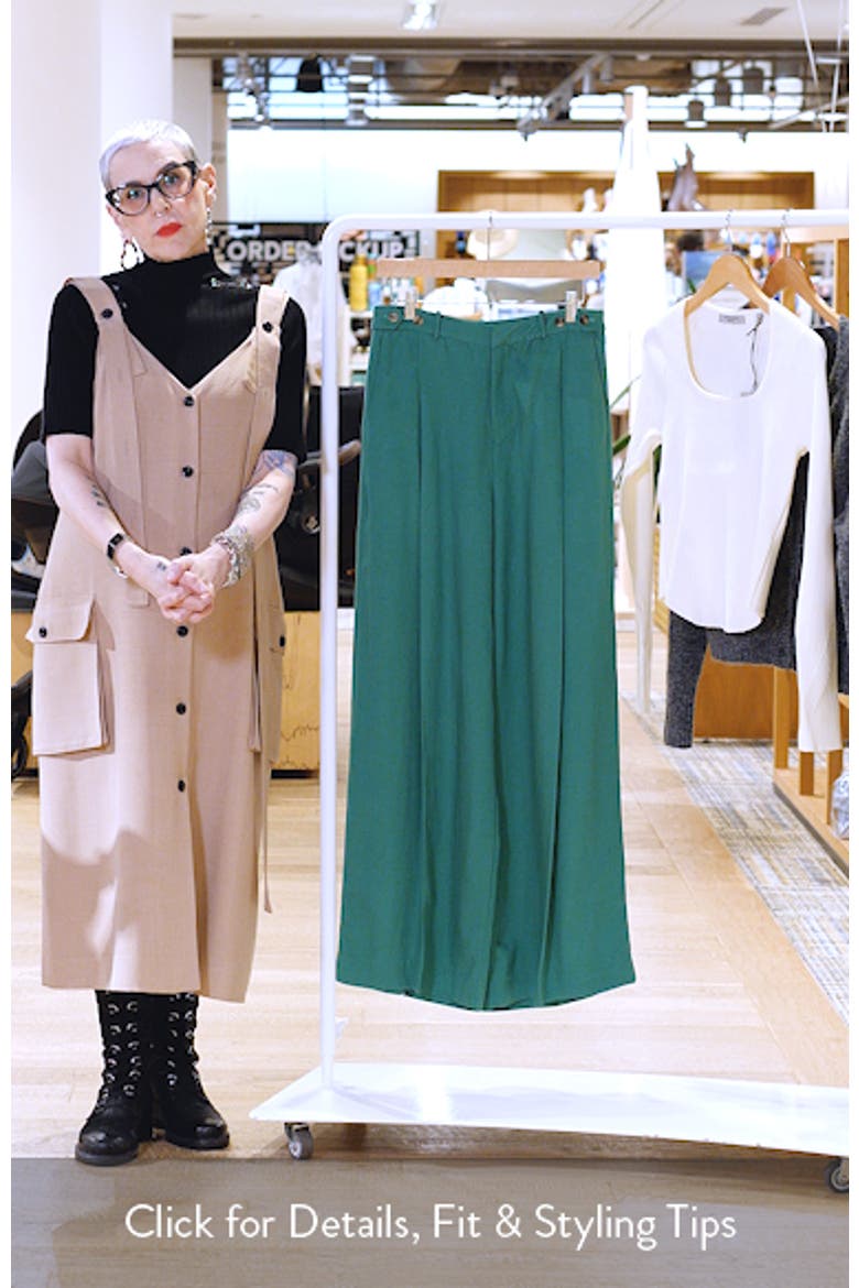 Palermo Pleated Wide Leg Pants video