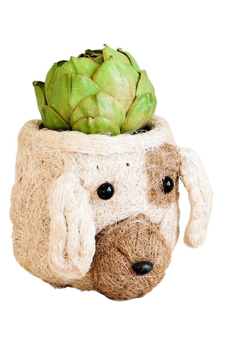 LIKHA Mini Dog Succulent Planter, Main, color, White / Brown
