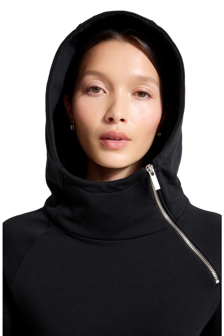 Tompkins Long Sleeve Hoodie Dress, Alternate, color, BLACK