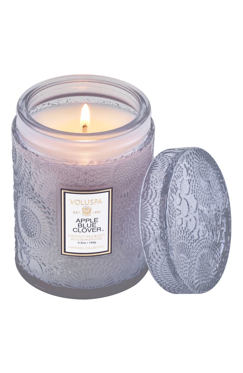Voluspa Apple Blue Clover Small Jar Candle, Alternate, color, 