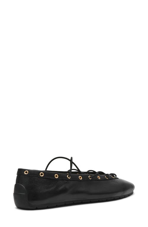 Steve Madden Pointe Ballet Flat