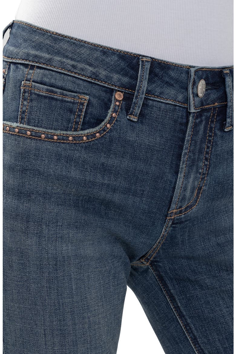 Suki Embellished Curvy Mid Rise Slim Bootcut Jeans, Alternate, color, SEREPHINA