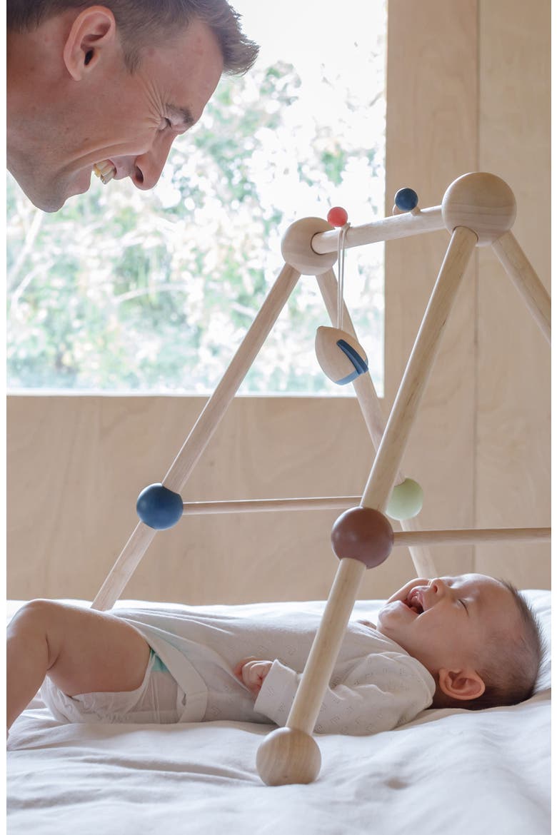 Orchard Collection Play Gym, Alternate, color, BROWN