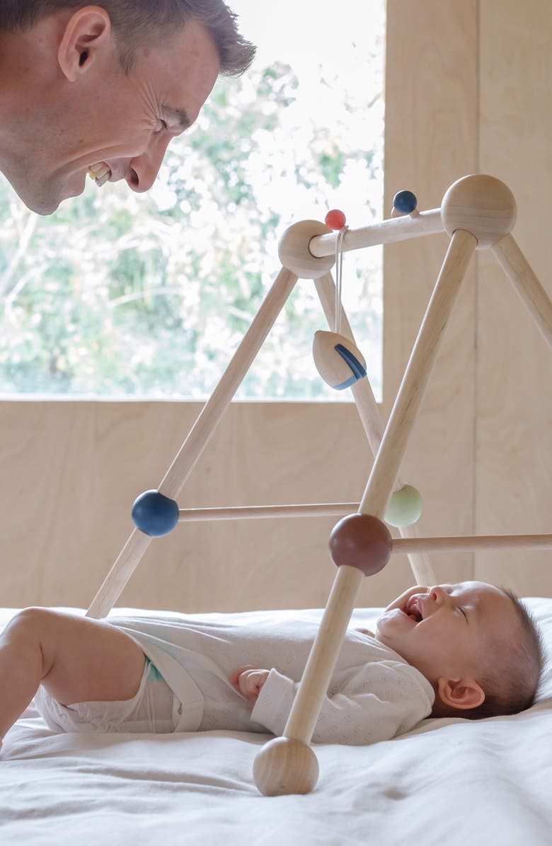 PlanToys<sup>®</sup> Orchard Collection Play Gym, Alternate, color, Brown