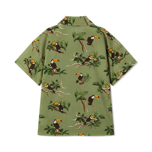 Milkbarn Collar Button-up Shirt And Shorts Set