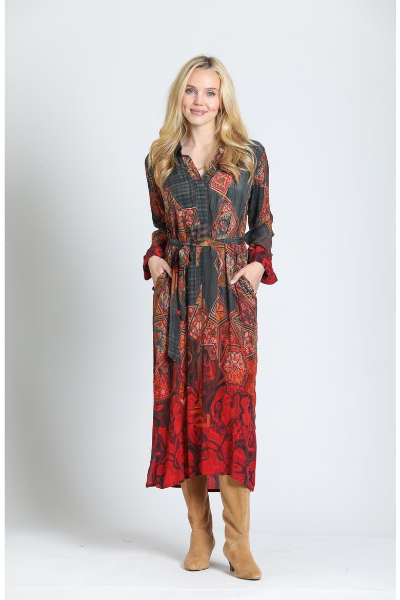 Half Placket Maxi Dress, Alternate, color, CARBON/CRIMSON SPICE