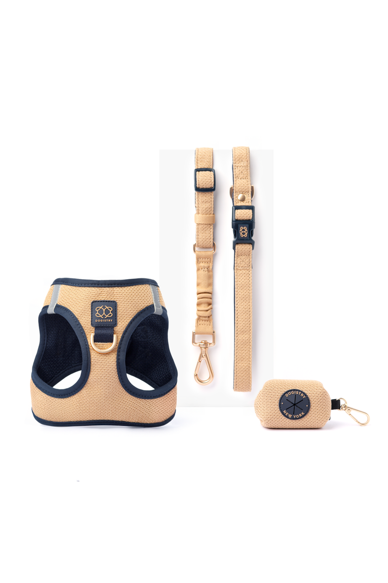 SoHo Dog Walking Set, Alternate, color, Dune