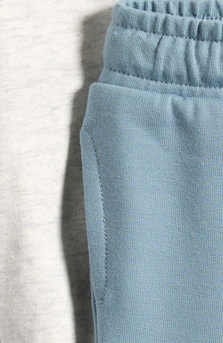 Little Planet 2-Pack Assorted Knit Pants, Alternate, color, Blue Grey