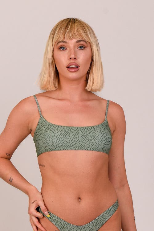 Oosc Sahara Sage Lace Up Crop Bikini Top