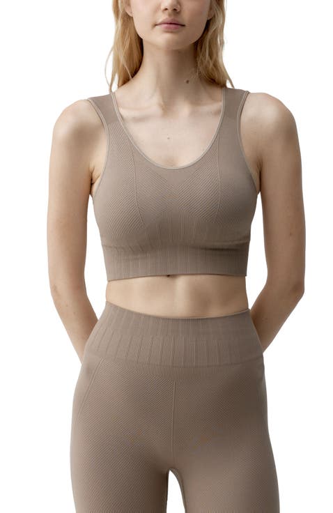 Annapurna Medium-Support Seamless Sports Top