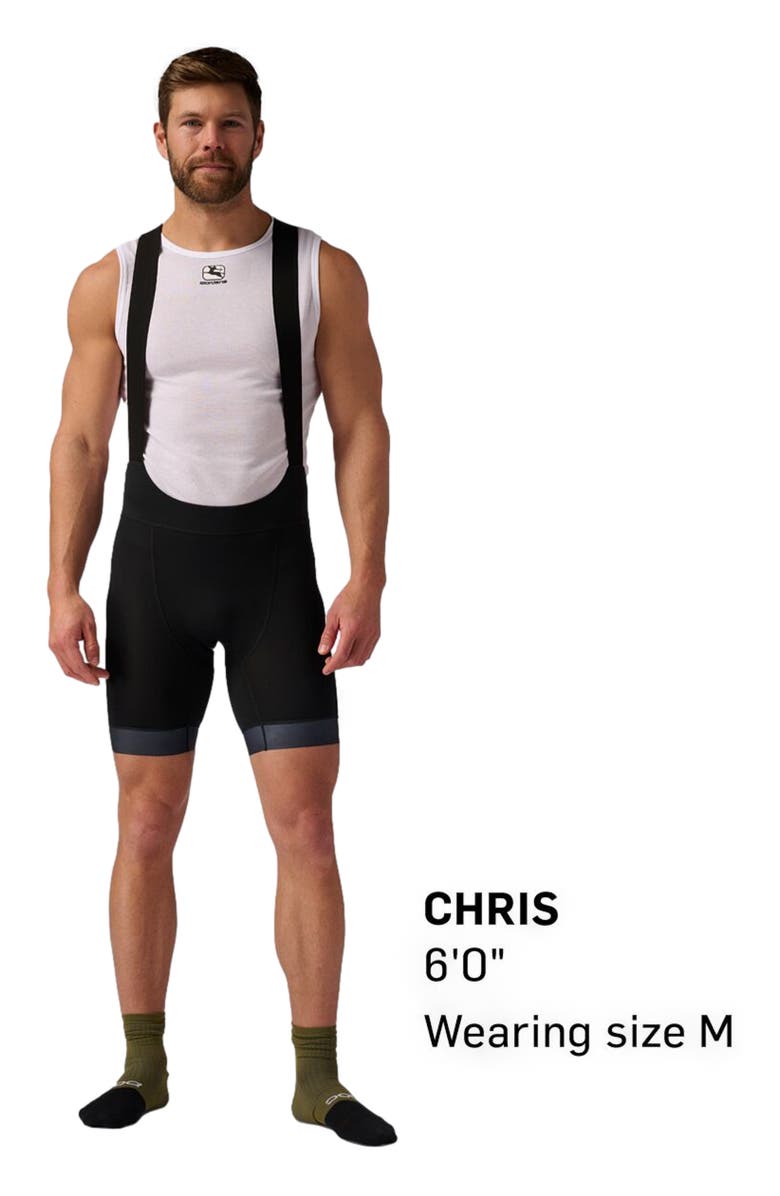 Backcountry Bike Liner Bib Short - Men's, Alternate, color, Black