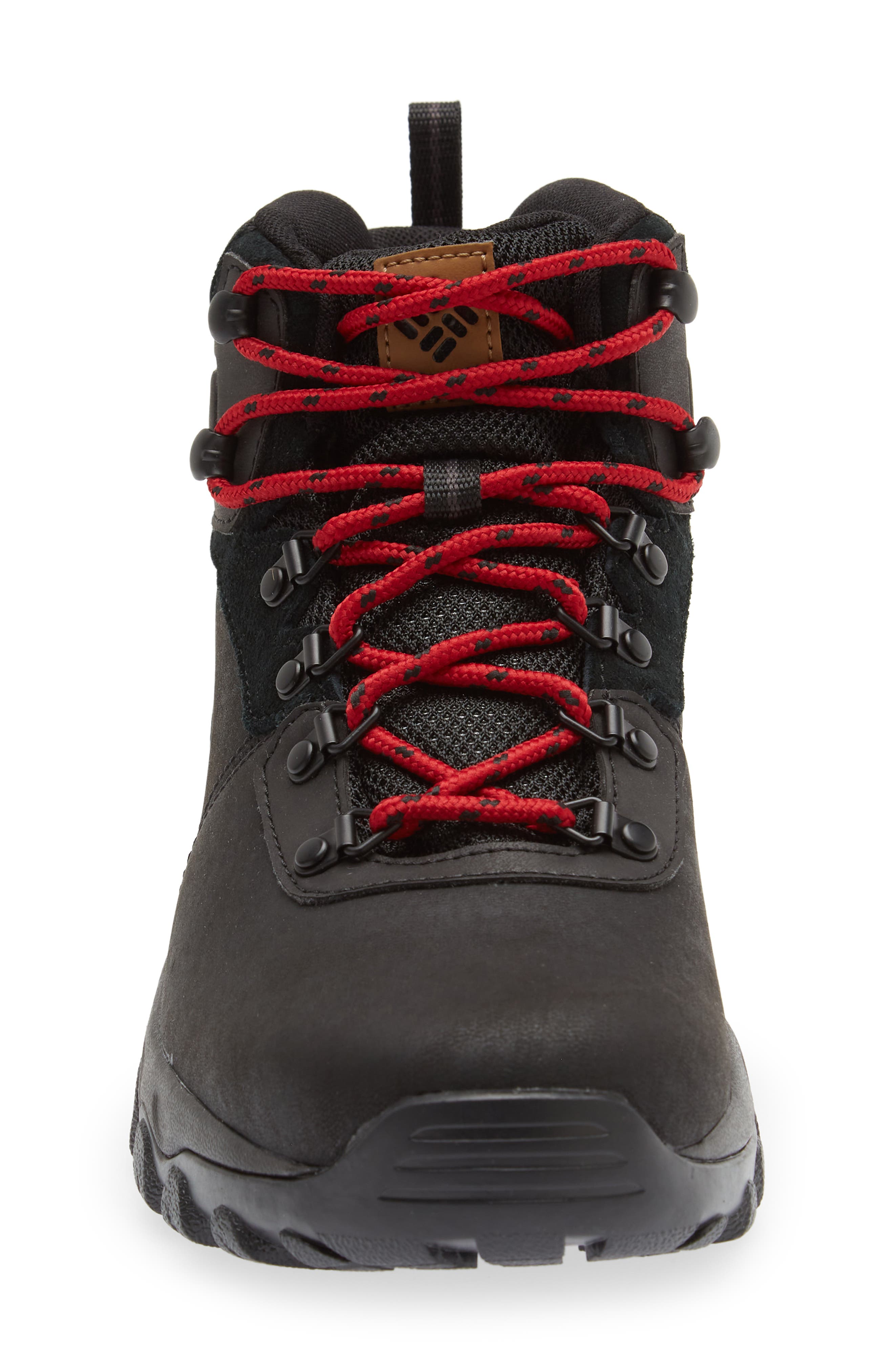Columbia Newton Ridge<sup>™</sup> Plus II Waterproof Hiking Boot, Alternate, color, 