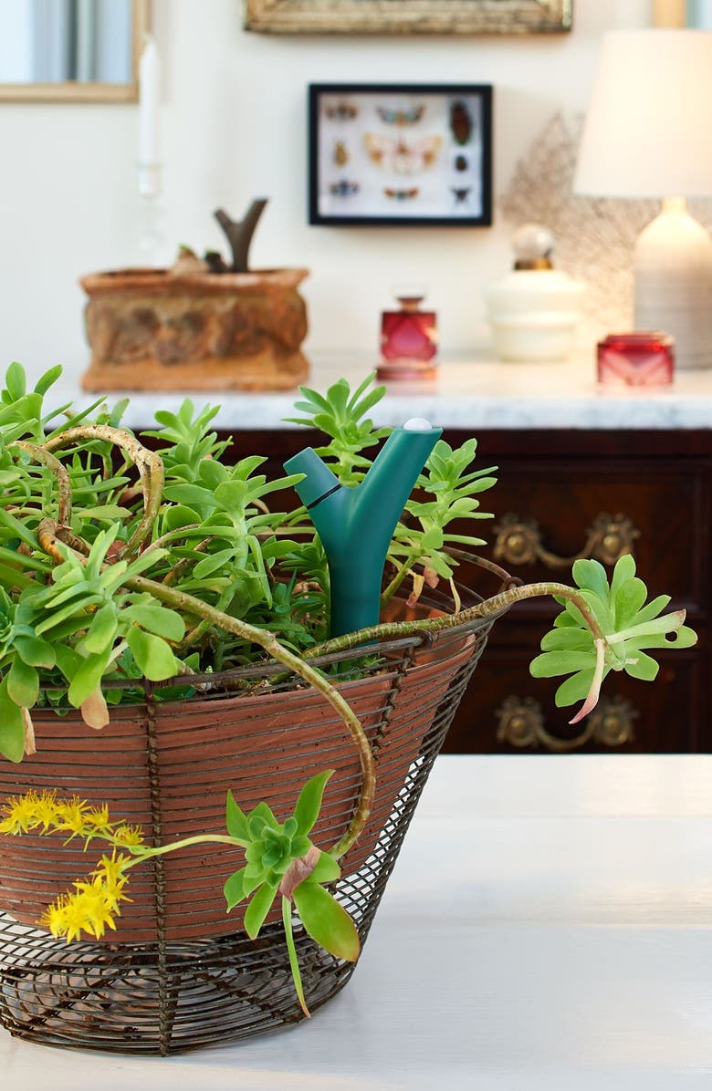 Parrot 'Flower Power' Wireless Plant Monitor, Alternate, color, 