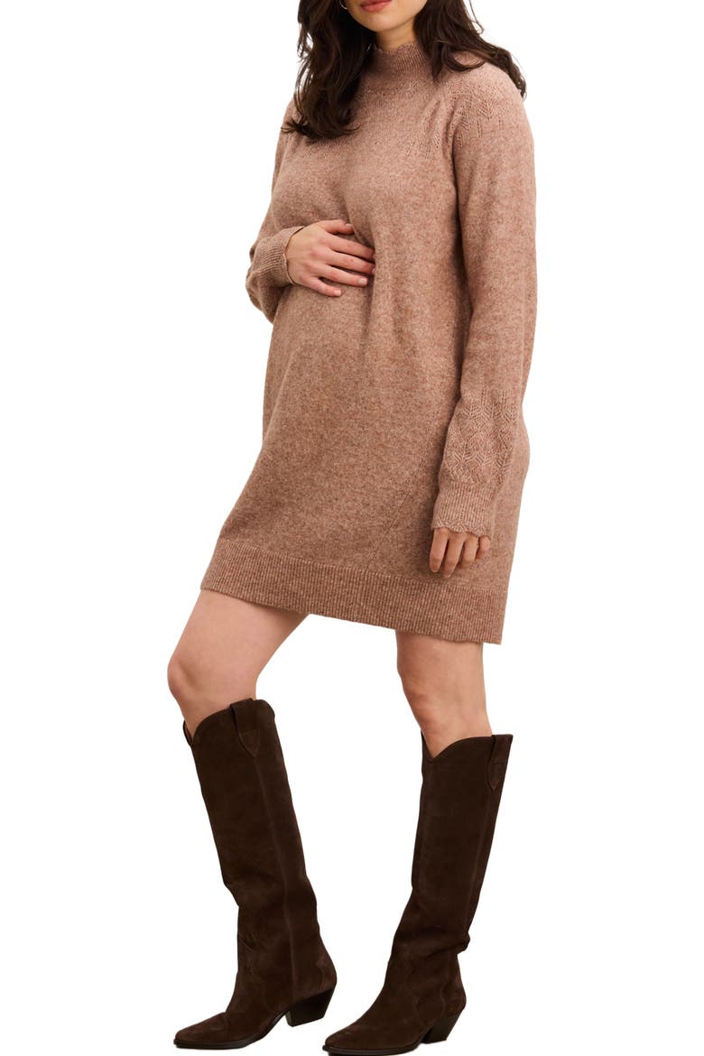 The Cozy Pointelle Poise Mini Dress, Alternate, color, Mocha