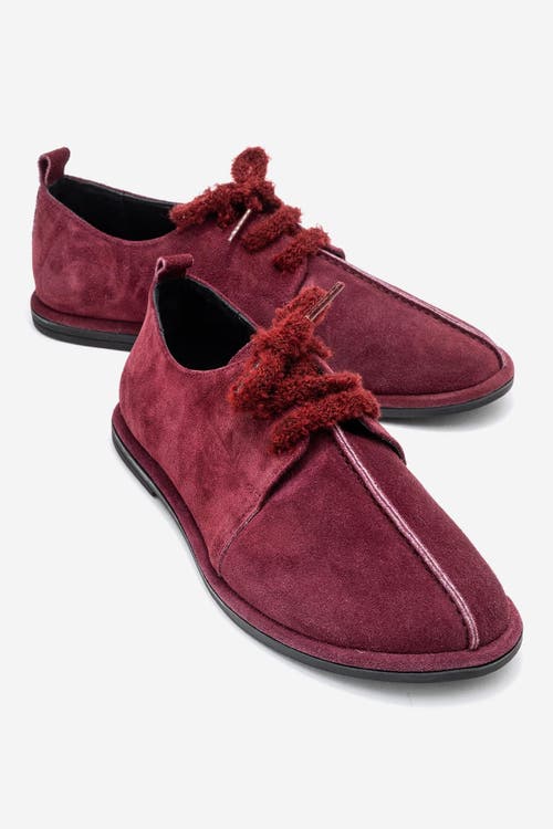 Forever & Always Shoes Denora Leather Lace Up Shoes In Burgundy