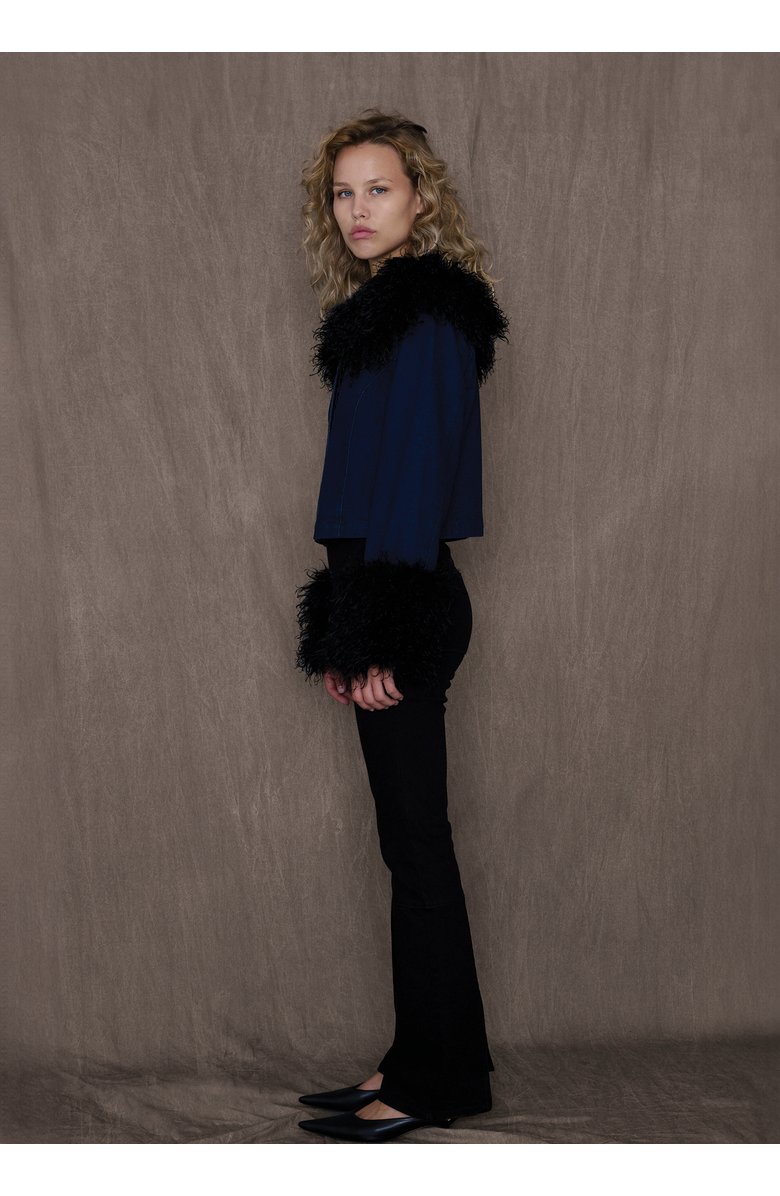 TT Studios Kimmy Jacket Petite, Alternate, color, Beekman St.