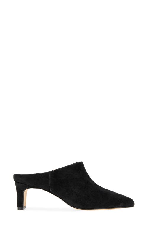Andre Assous André Assous Willow Mule In Black