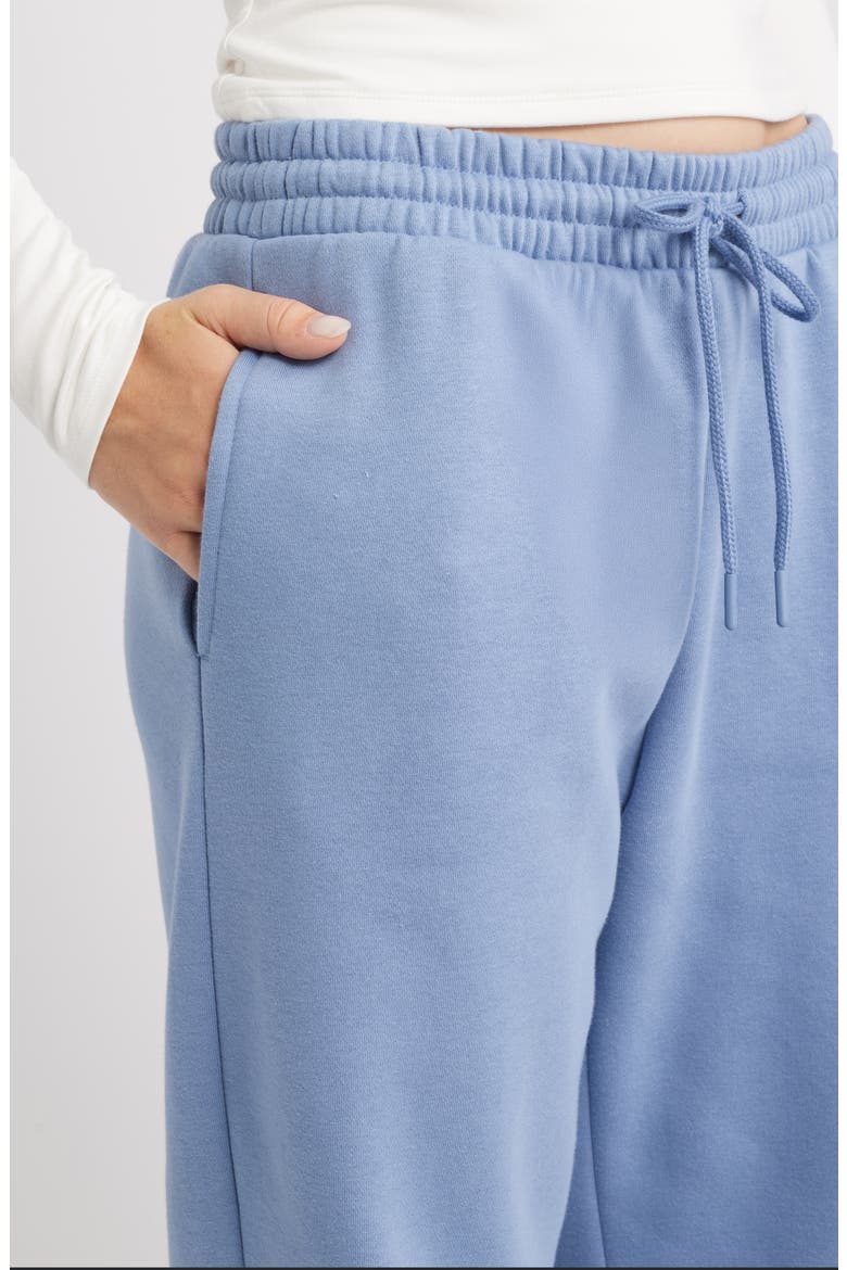 Baggy Fleece Joggers, Alternate, color, BLUE COUNTRY