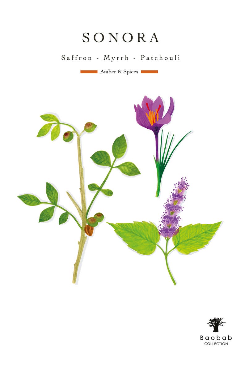 Baobab Collection Max 16 Sand Sonora Scented Candle, Alternate, color, Saffron/ Myrrh/ Patchouli