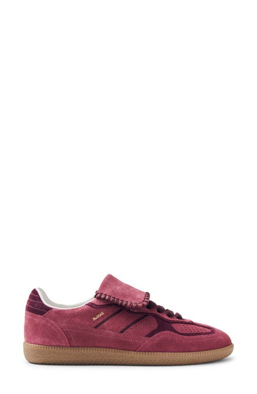 Alohas Tb.490 Club Suede Raspberry Leather Sneakers Raspberry In Pink