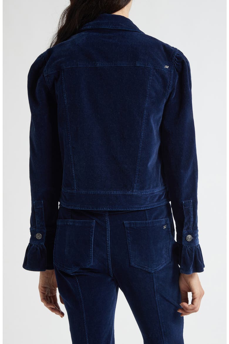Deryn Crop Velvet Jacket, Alternate, color, ANNECY