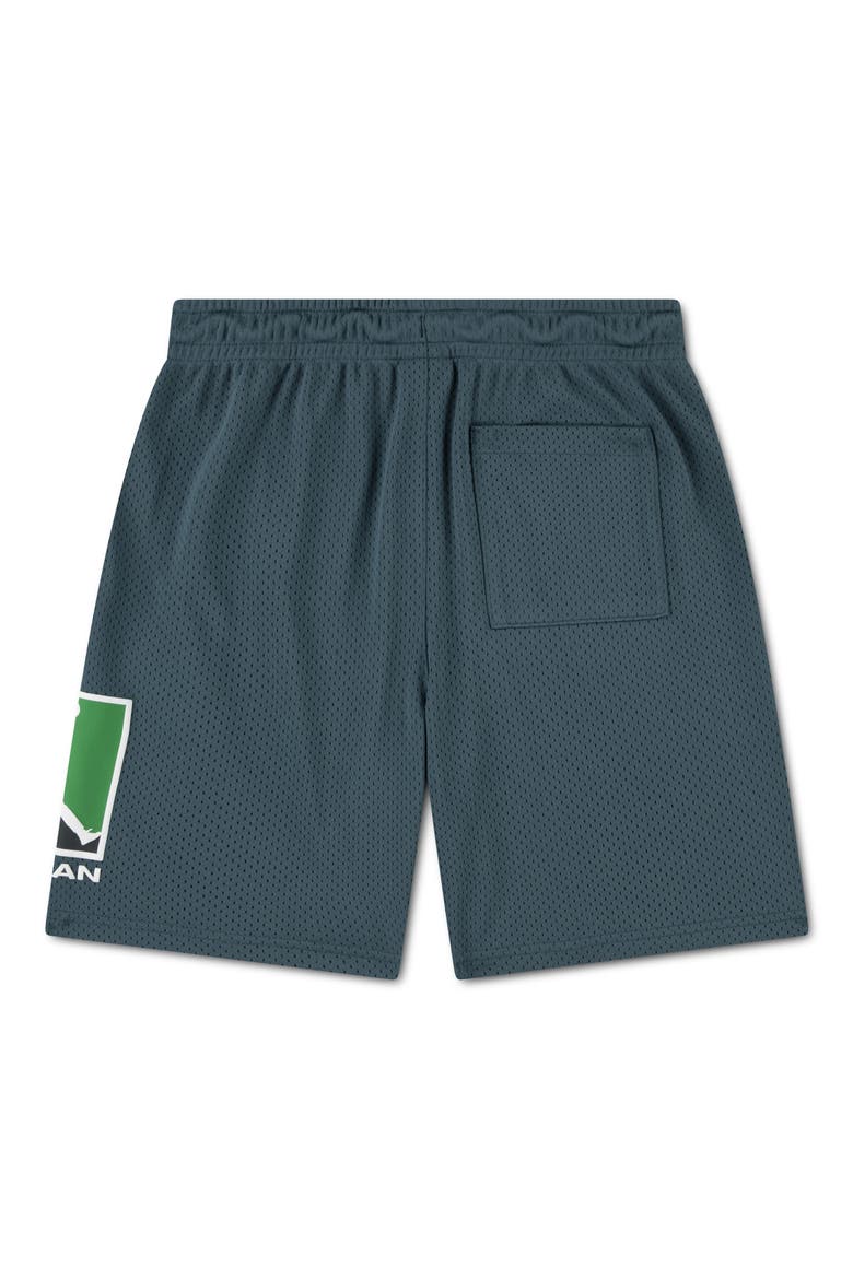 Kids' Jumpman Mesh Shorts, Alternate, color, ASH GREEN