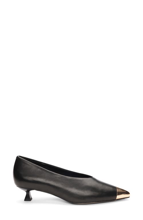 Sanctuary Manda Cap Toe Kitten Heel Pump In Black