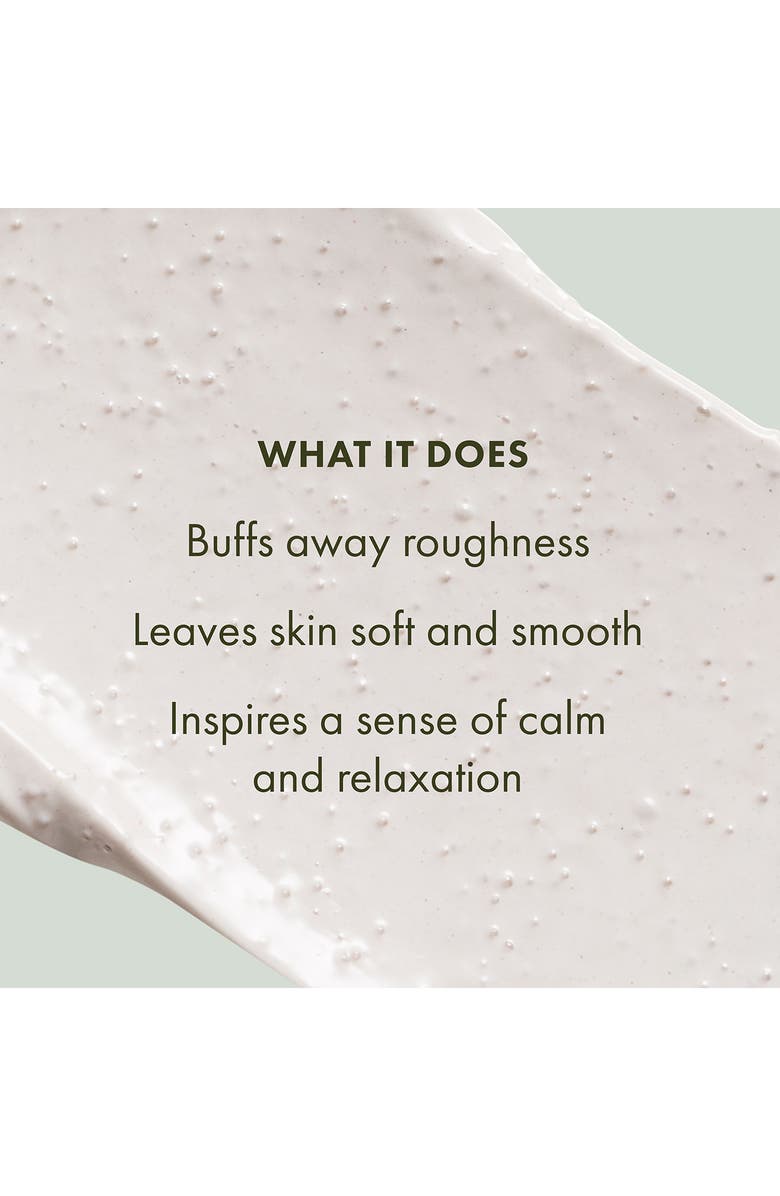 Origins Peace of Mind<sup>™</sup> Exfoliating Body Scrub, Alternate, color, 