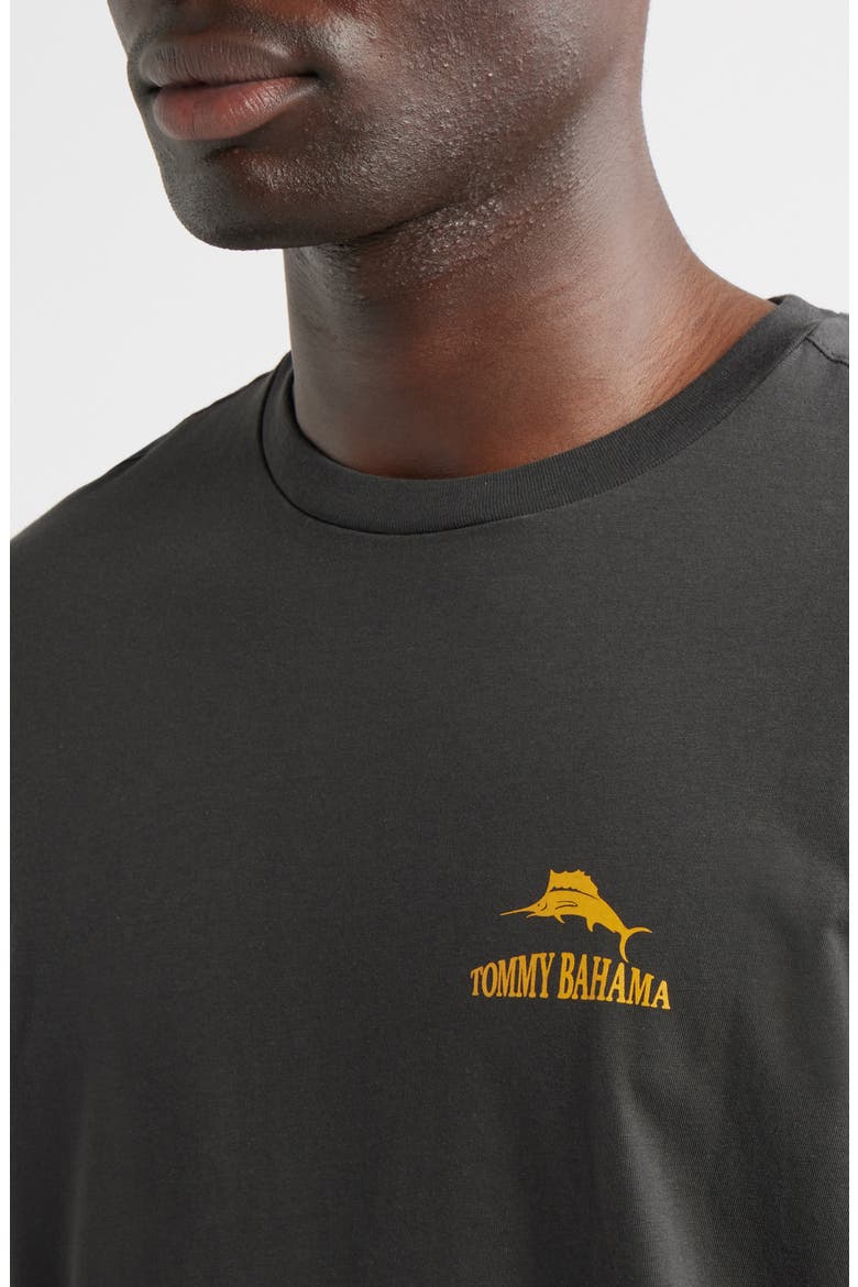 Golden Labation Graphic T-Shirt, Alternate, color, COAL
