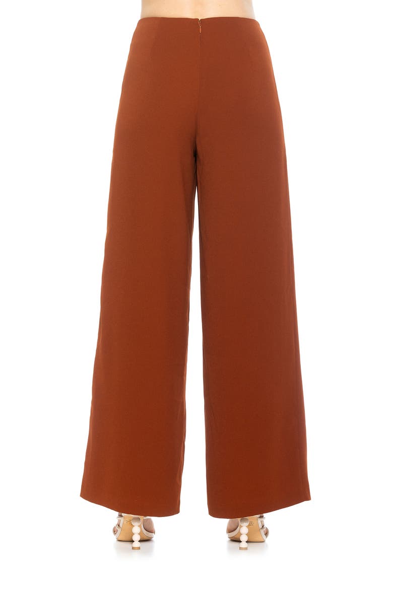 Cassie Grommet High Waist Wide Leg Pants, Alternate, color, BROWN