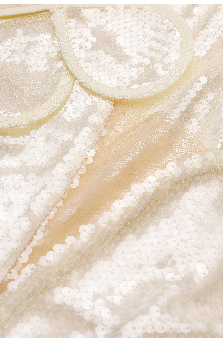 Malva Florea Sequin Maxi Bustier Gown With Petal Appliques, Alternate, color, Beige