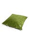  Moss