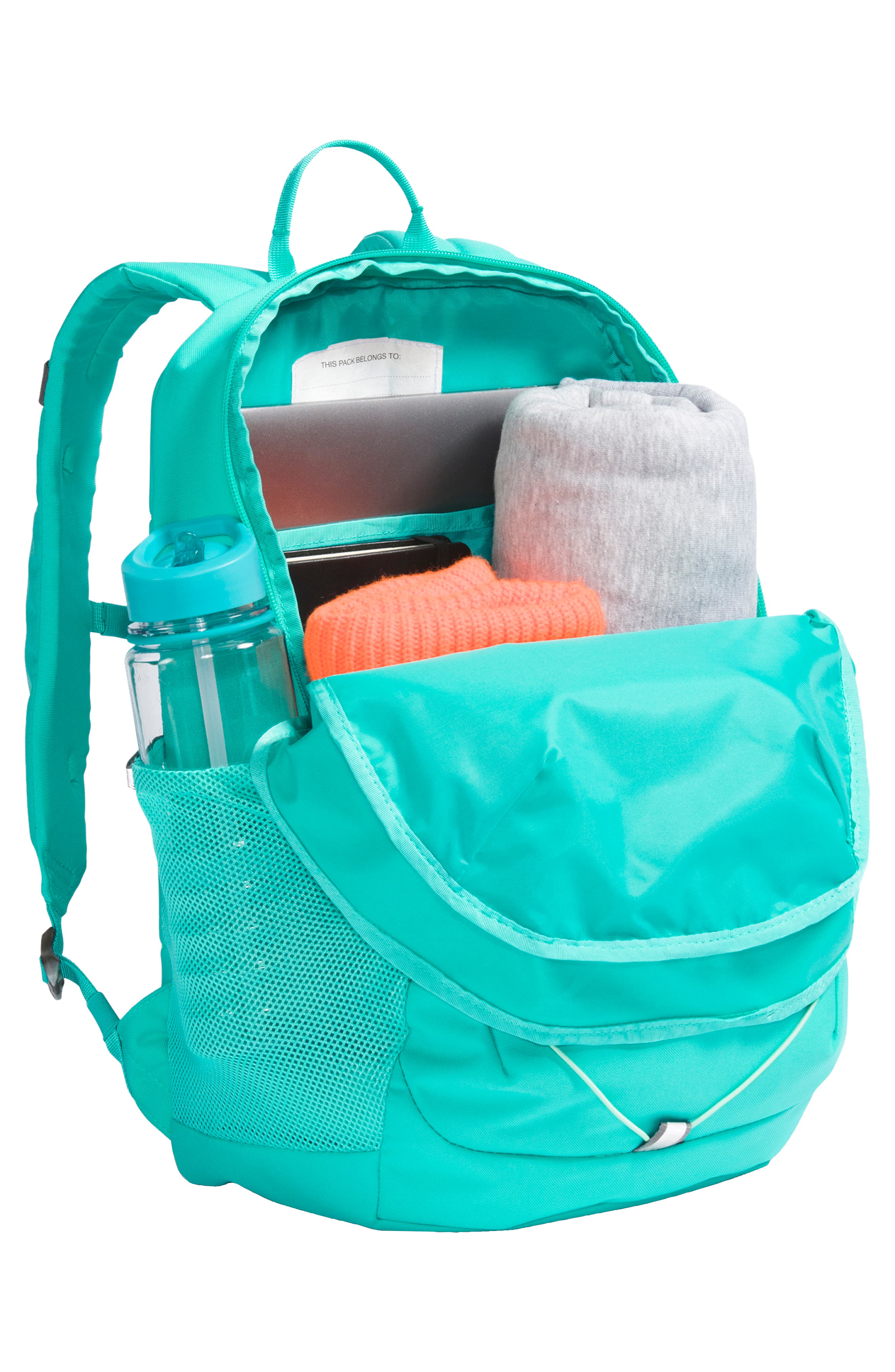 The North Face Kids' Court Jester Backpack, Alternate, color, 