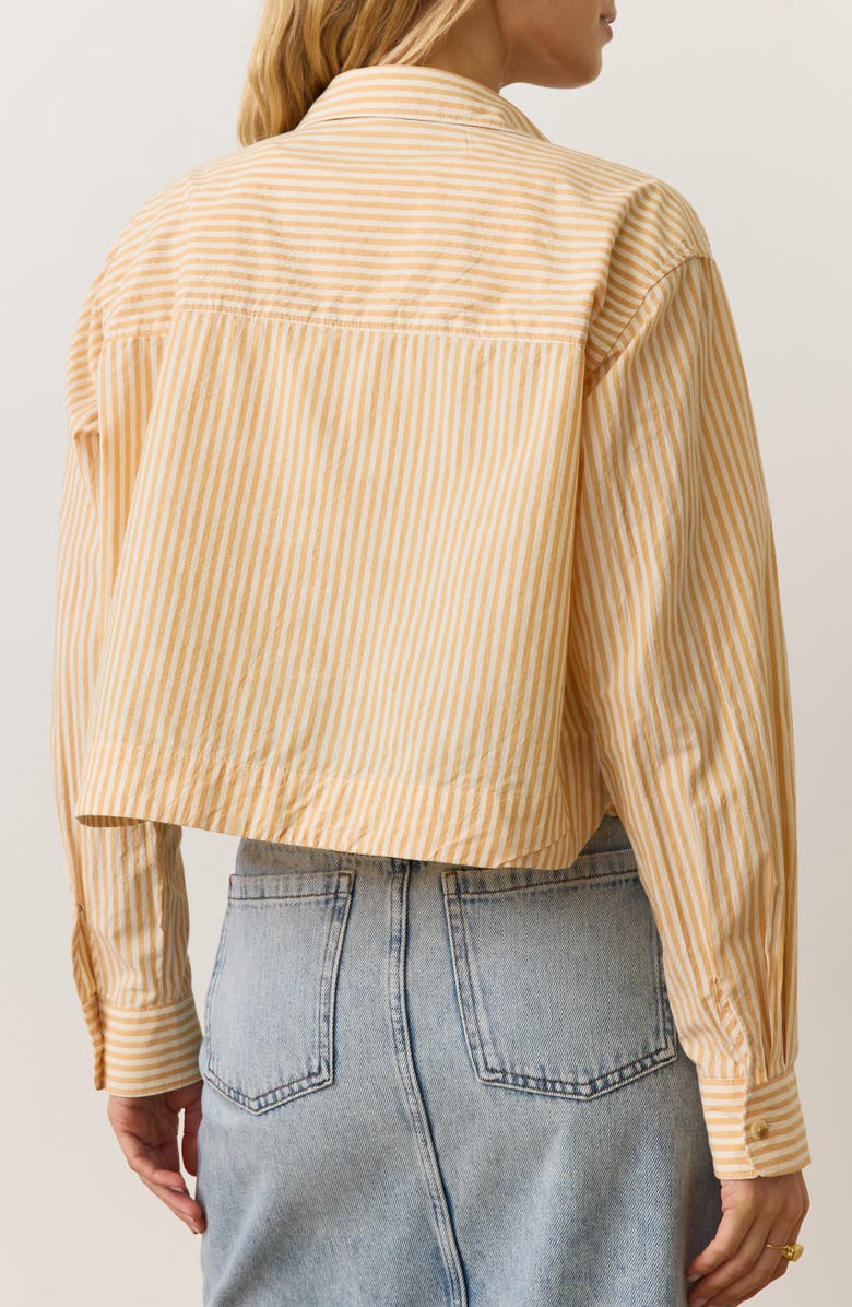 Marine Layer Stripe Boxy Crop Shirt, Alternate, color, Gold Stripe