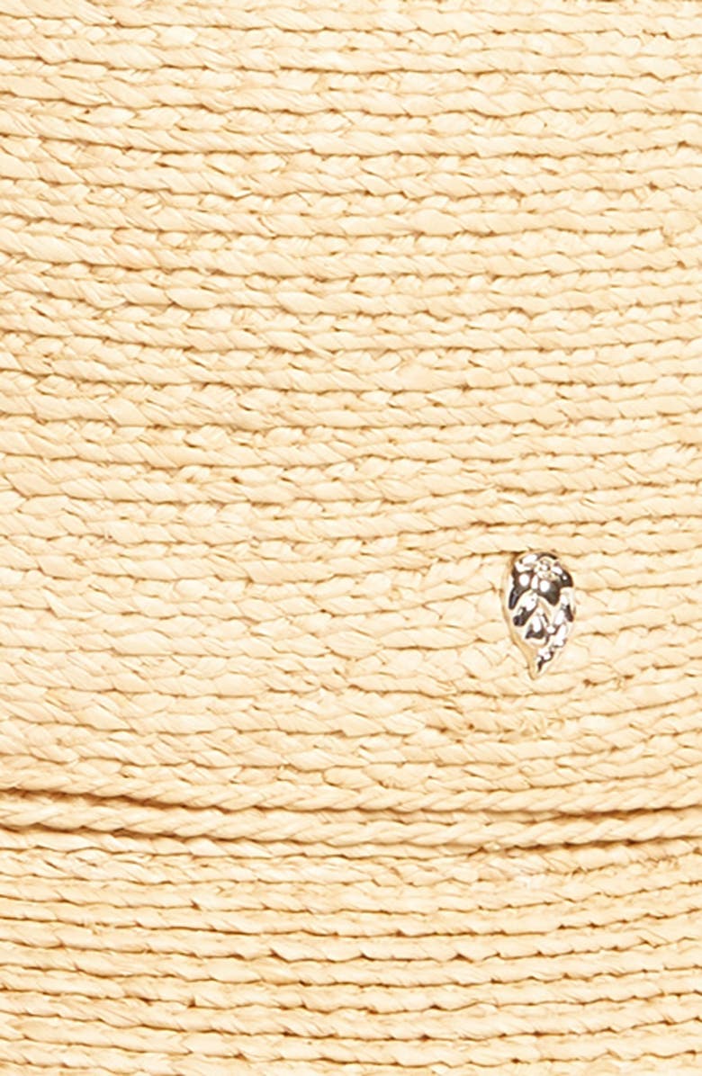 Helen Kaminski Delphina Wide Brim Hat, Alternate, color, 