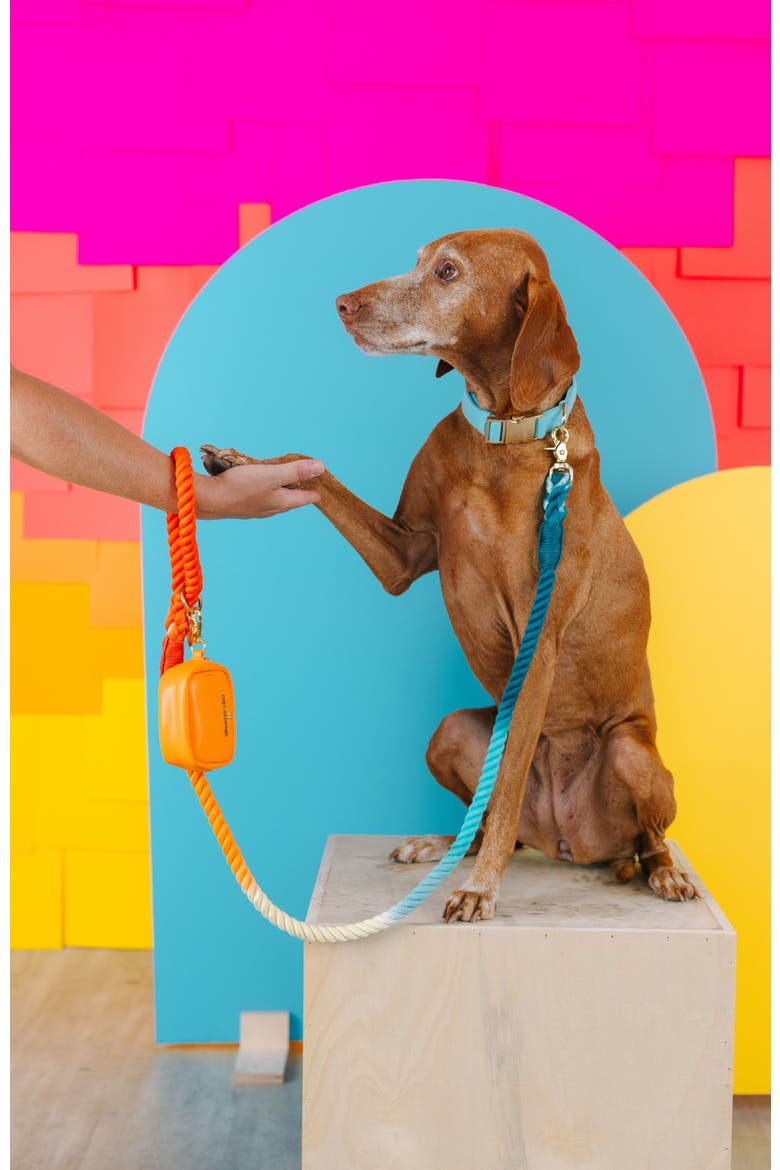 Beau Rope Dog Leash, Alternate, color, Beau 4ft