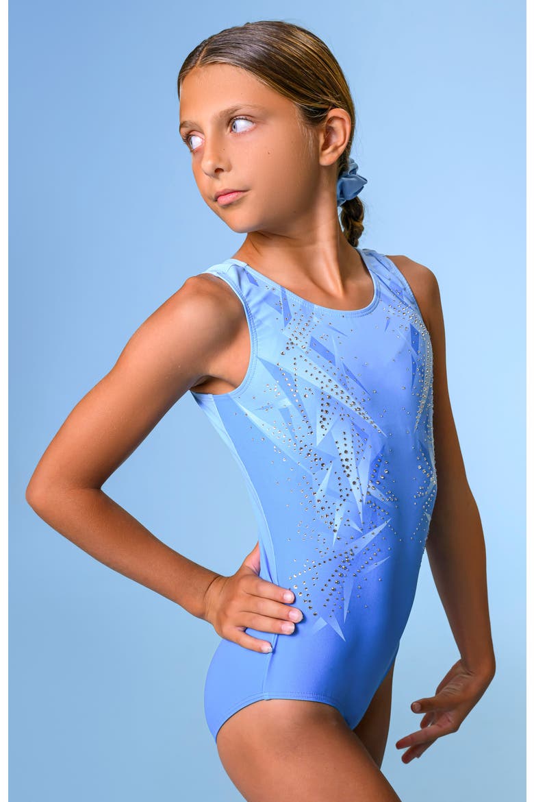 Breaking Boundaries Leotard, Alternate, color, Breaking Boundaries
