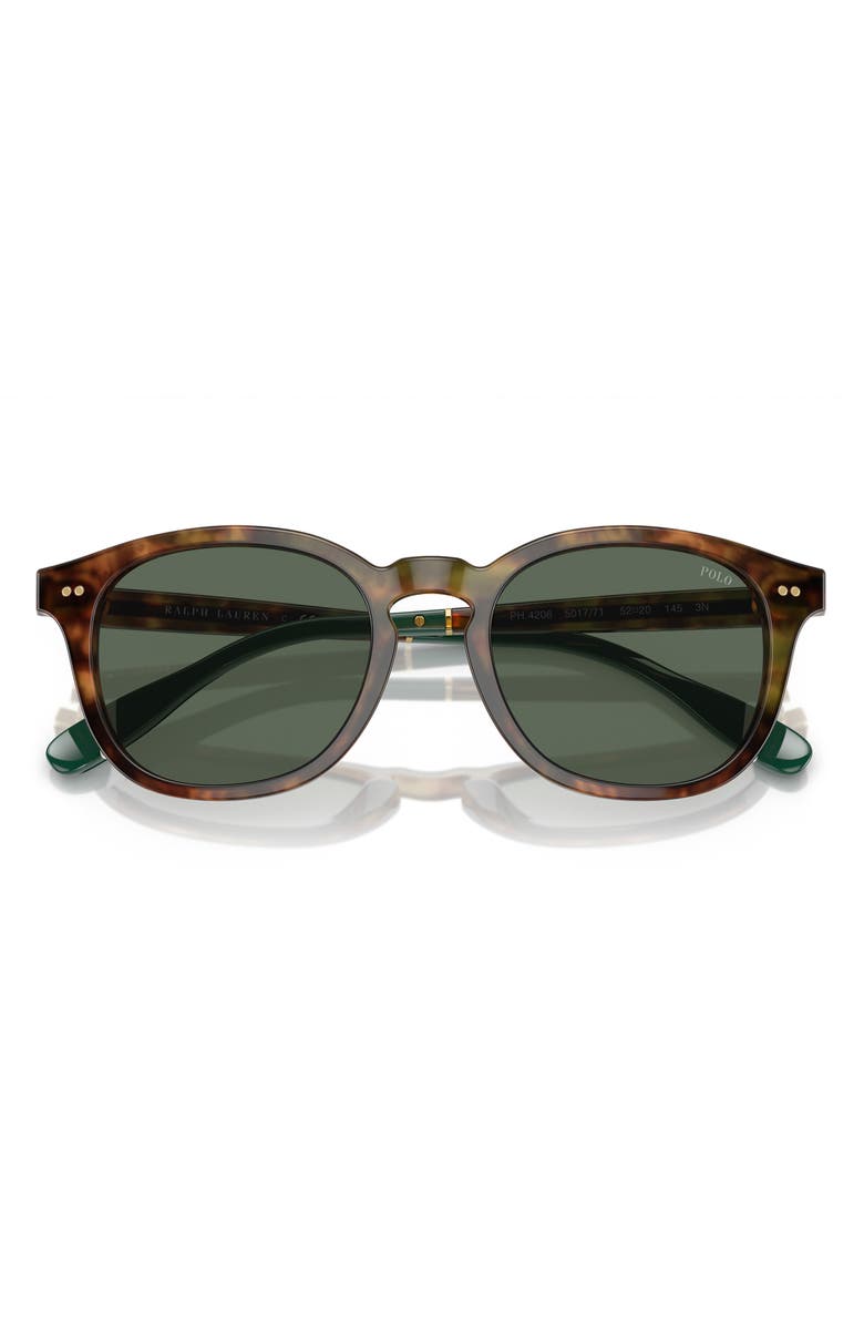 Polo Ralph Lauren 52mm Phantos Sunglasses, Alternate, color, Shiny Brown Tortoise / Green