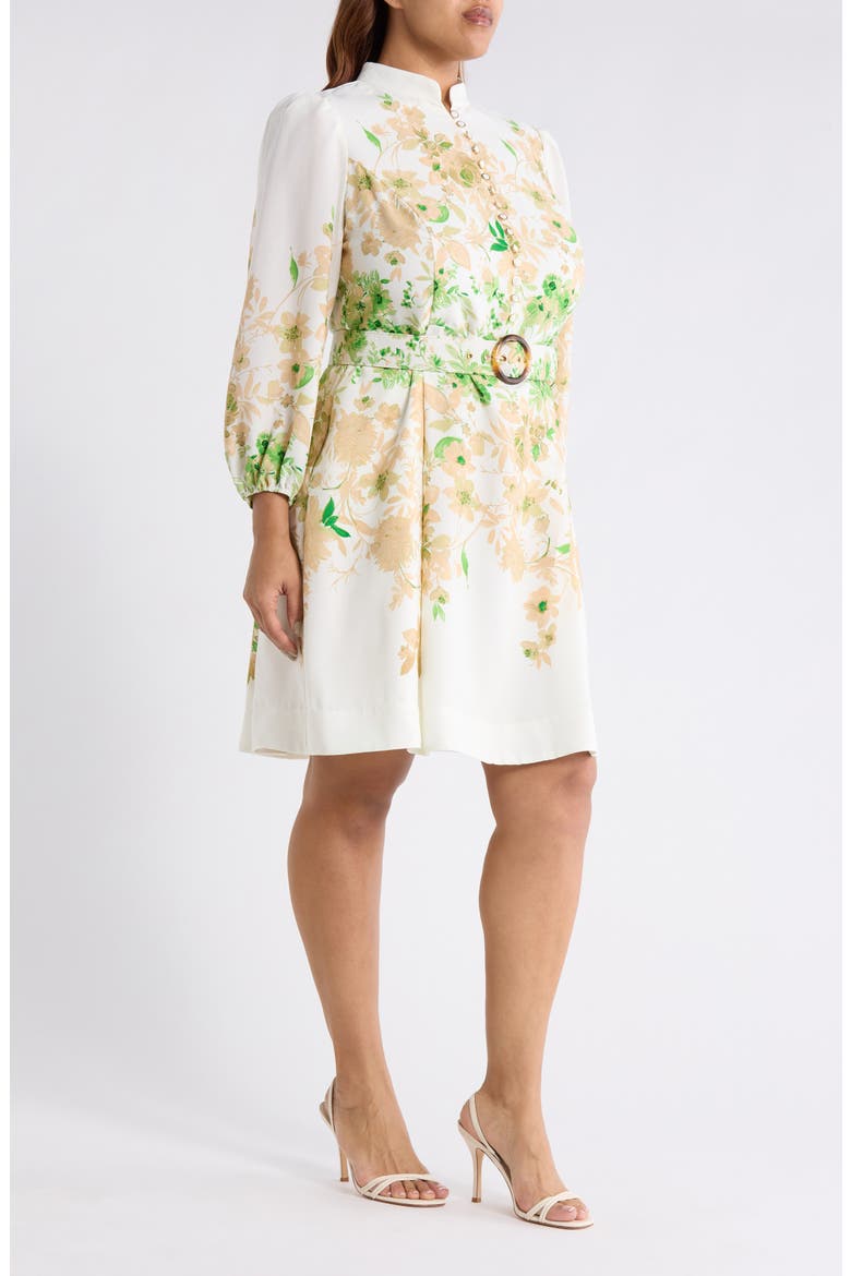 Placed Floral Long Sleeve Dress, Alternate, color, IVORY FERN