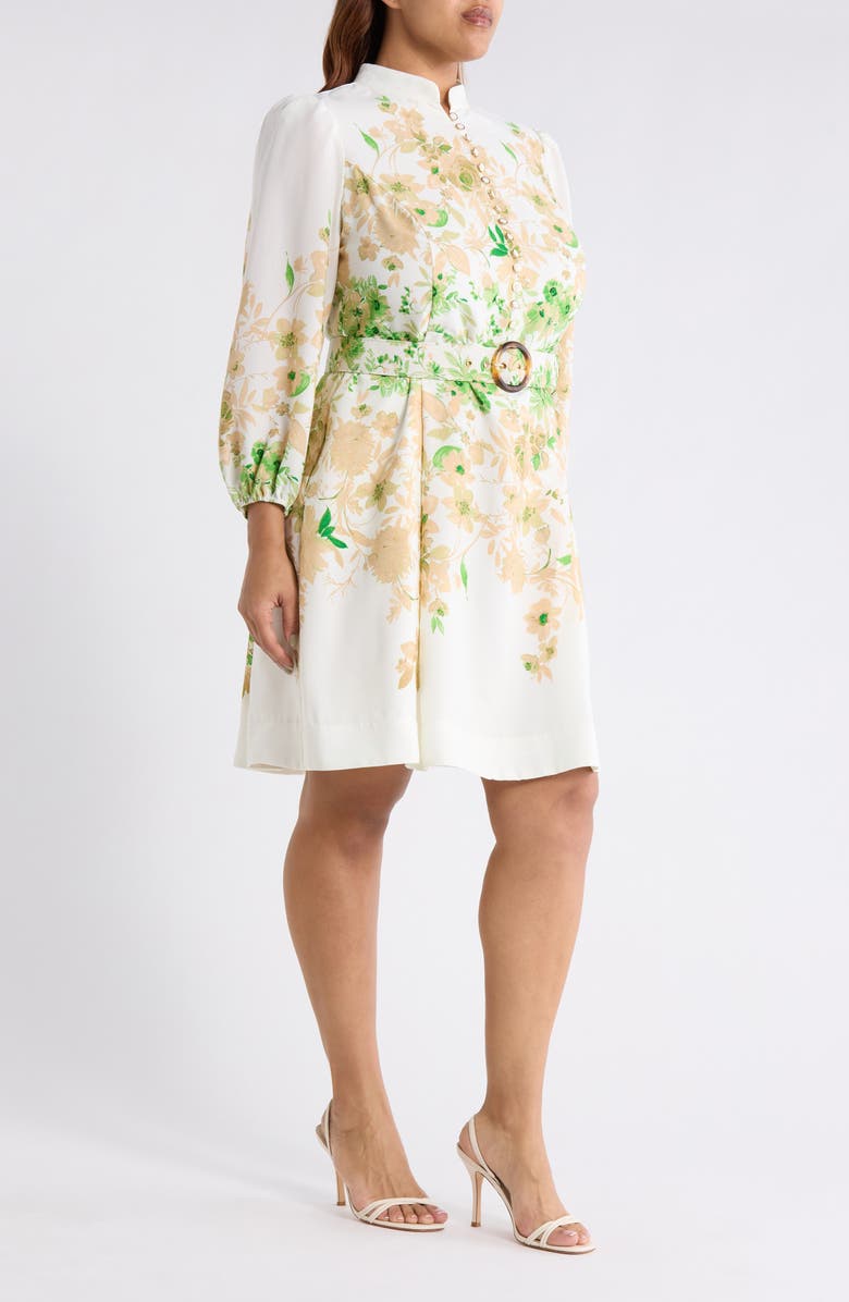 Tahari ASL Placed Floral Long Sleeve Dress, Alternate, color, Ivory Fern