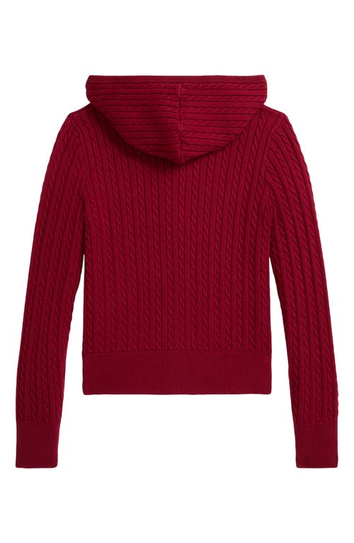 Polo Ralph Lauren Ralph Lauren Polo Bear Cotton Full-zip Sweater In Brown