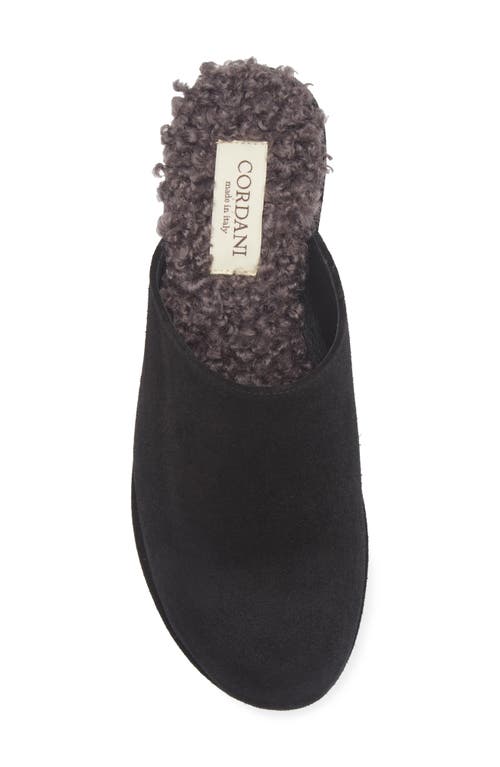 Cordani Camryn Platform Wedge Mule In Black