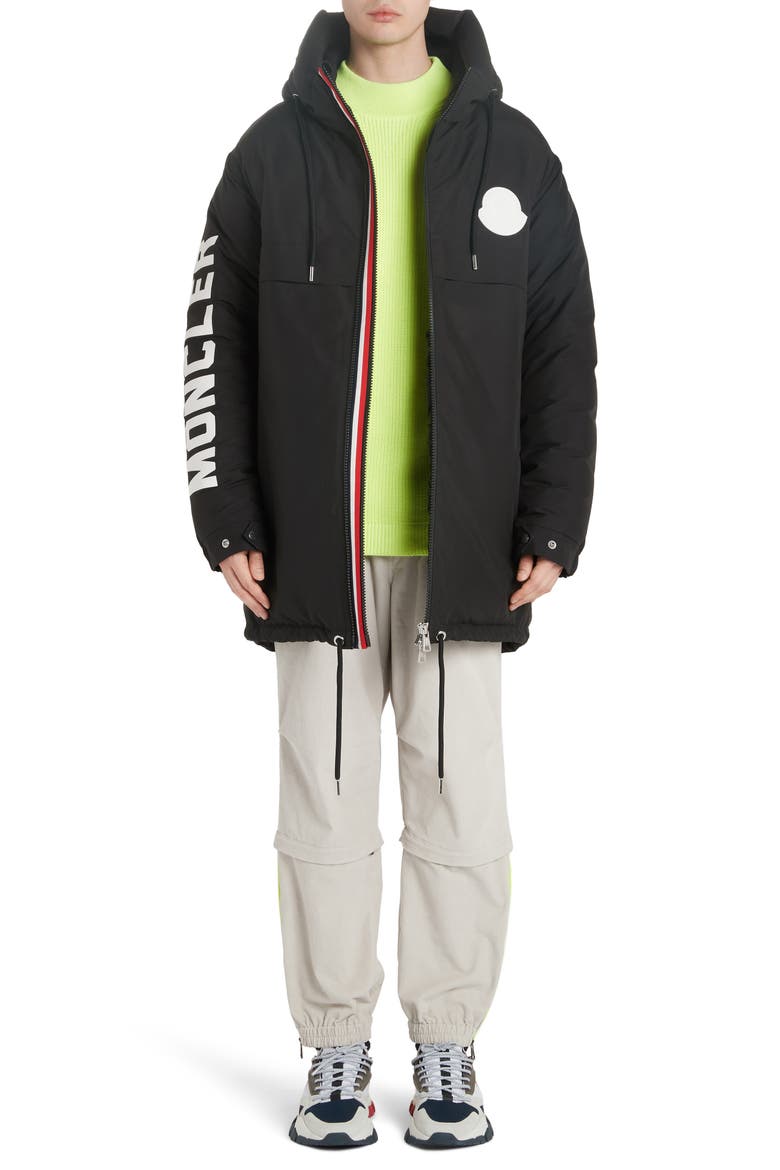 Chanier Hooded Down Jacket, Alternate, color, BLACK