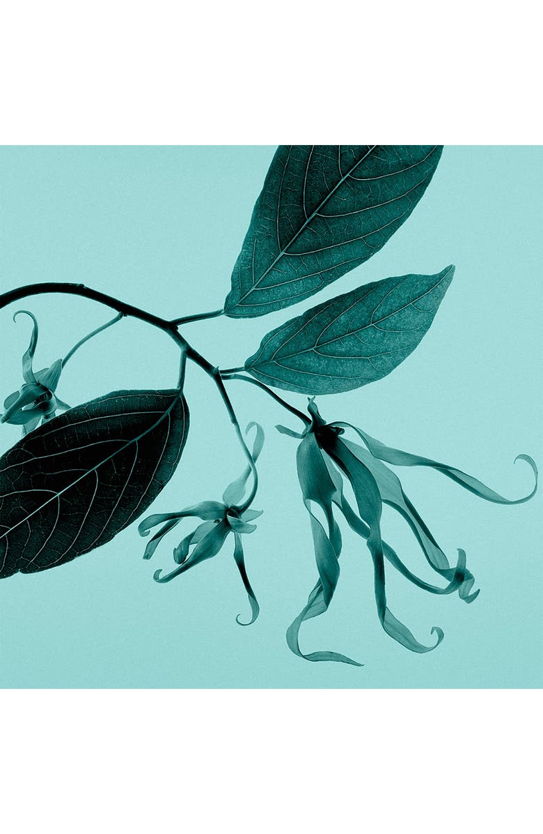 Tiffany & Co. Tiffany Sheer Eau de Toilette, Alternate, color, 