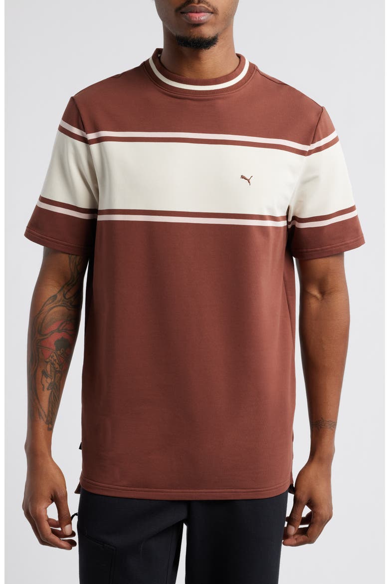 x The Brooklyn Circus Relaxed Stripe T-Shirt, Main, color, CHOCOTART