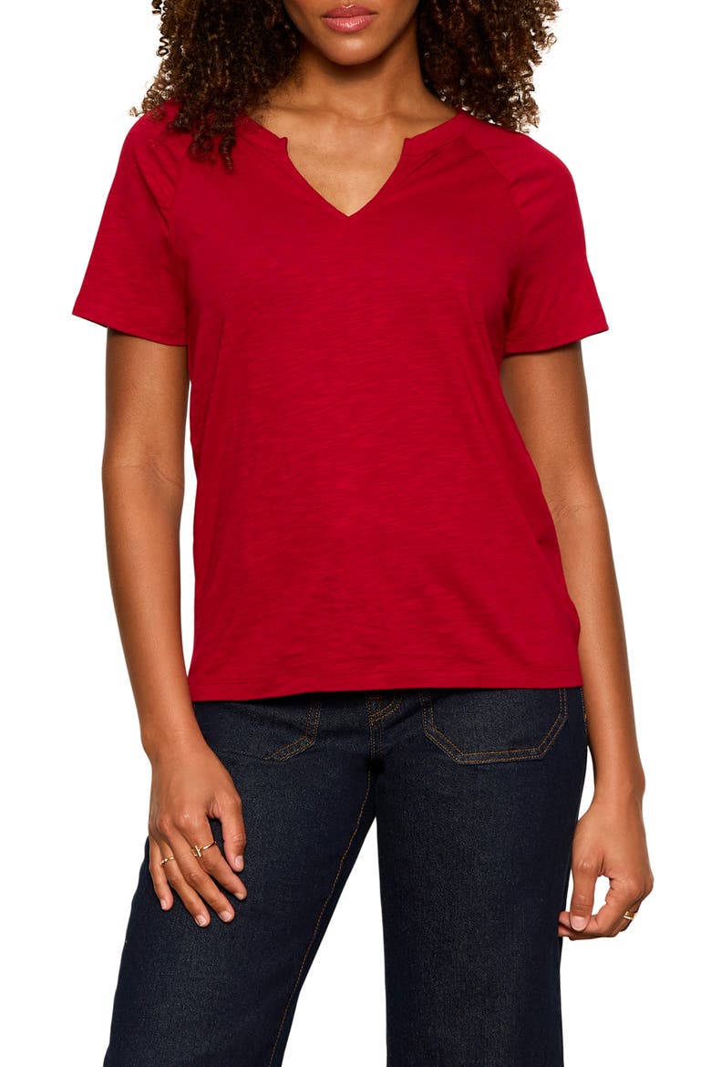 Notch V-Neck Cotton Blend T-Shirt, Main, color, RED BERRY